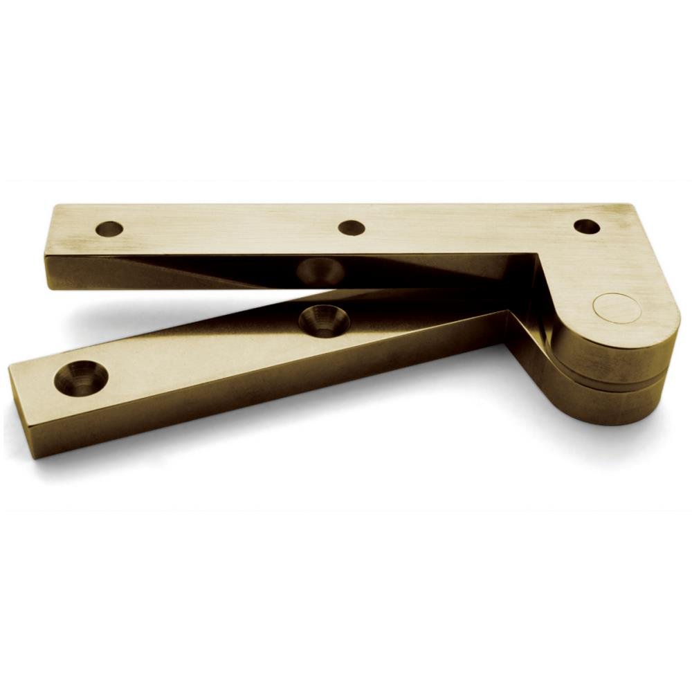L-19 Pivot Hinge - A product photo of brass hardware on a white background